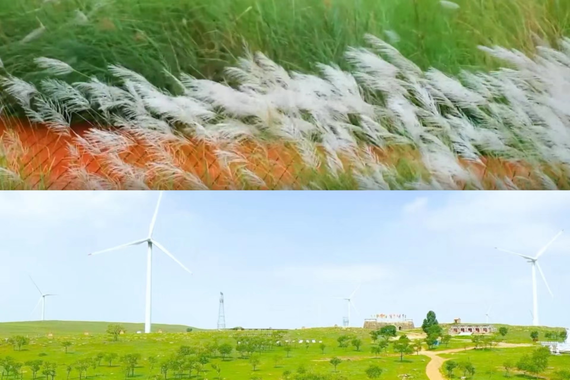 1689564855506144.jpg 023babaf4994c168967fd26afa7dab0.jpg