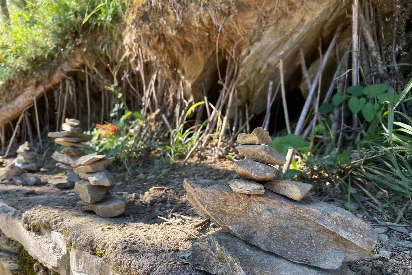 1692862907307295.jpg 8787c359d70450a4ee700a7062b8f3e.jpg