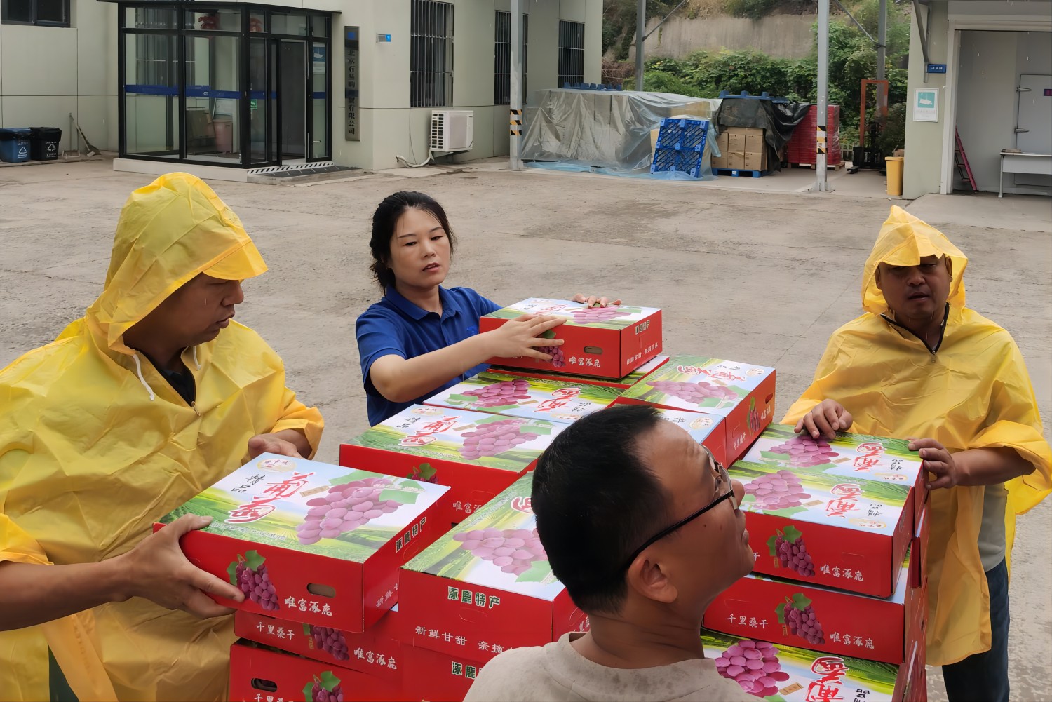 1695812553973108.jpg 2aaee5c7e57e50ef487c1637e5438382(1).jpg