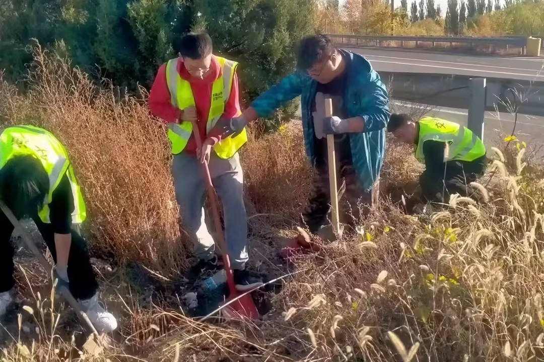 1697511457140478.jpg mmexport1697505534733_edit_411147026728929.jpg