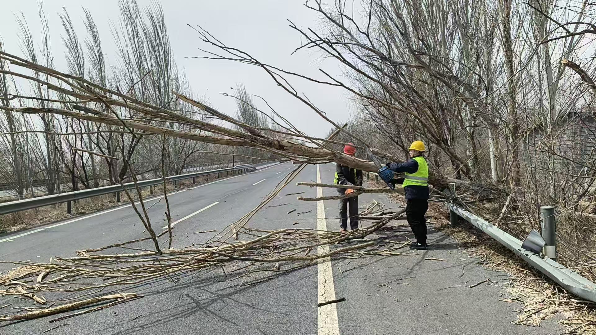 1744524436687557.jpg 2ced6cc3c1857a6026a0b04ac84d1fd.jpg